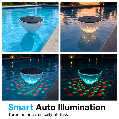 zjy-0623-fish light