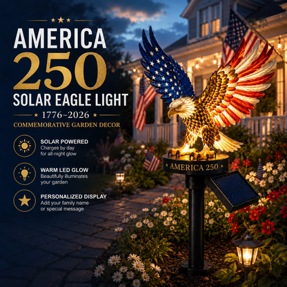 07.01Eagle Solar Light-zm